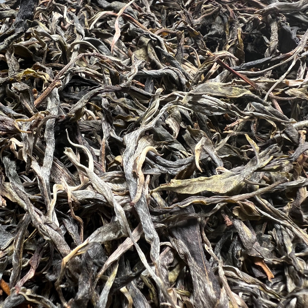 无量山普洱散茶