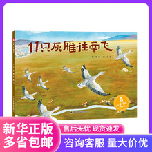【孙俪推荐绘本】11只灰雁往南飞儿童时代图画书籍童书秋冬天绘本