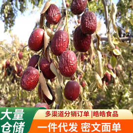 代发带土新疆灰枣原生态未洗大枣年货特产