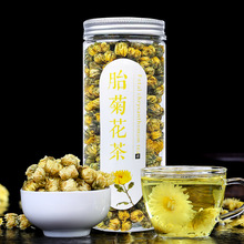 杭白菊 瓶装胎菊罐装35g菊花茶花草茶批发厂家代发一件代发胎菊王