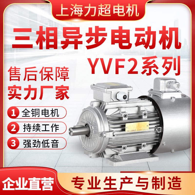 上海力超YVF2三相异步电动机变频电机化工水泵机械用三相异步电机