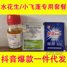 10%精草铵膦铵盐+氯氟吡氧乙酸果园除草剂草安铵胺磷水花生小飞蓬