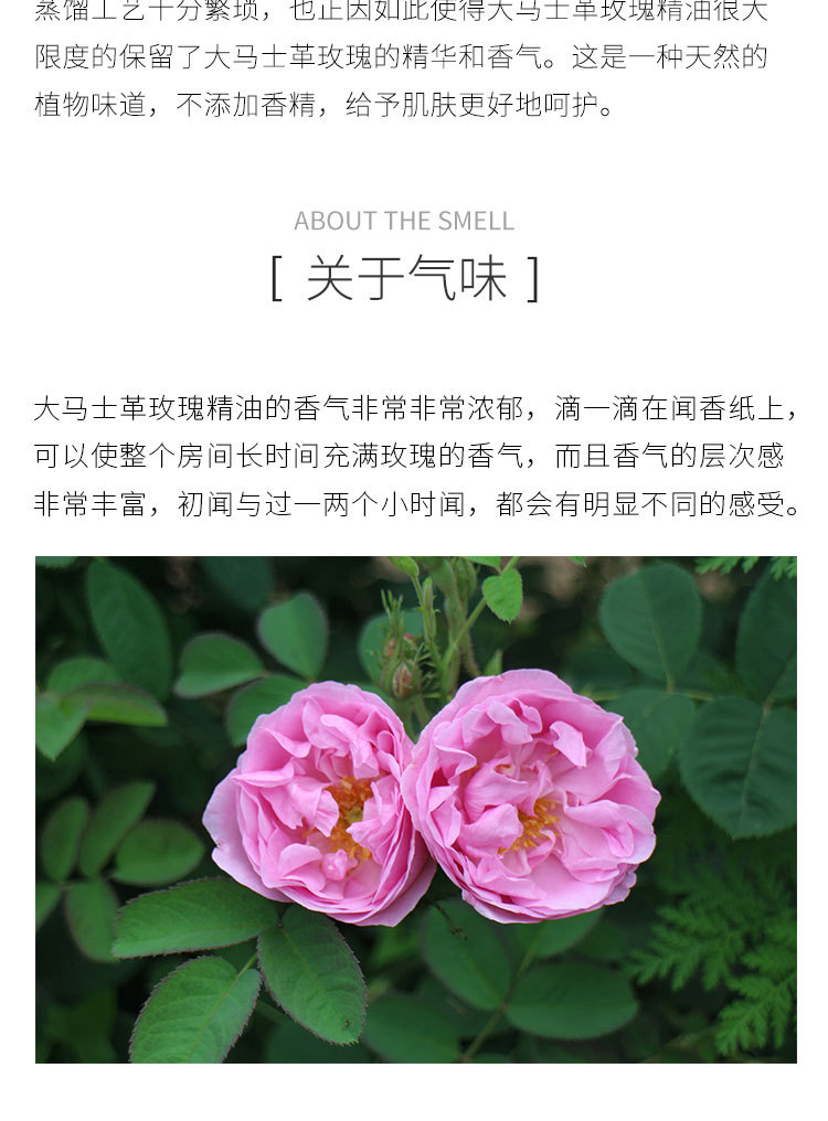 播芳香草大马士革玫瑰精油玫瑰单方精油玫瑰香料香精1ml起售