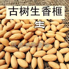 古树生香榧籽 2023年新货坚果种子枫桥 炒香榧原料 500克