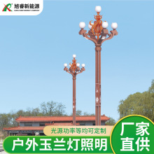 户外防水太阳能玉兰灯定制小区道路市政工程景观灯广场高杆中华灯