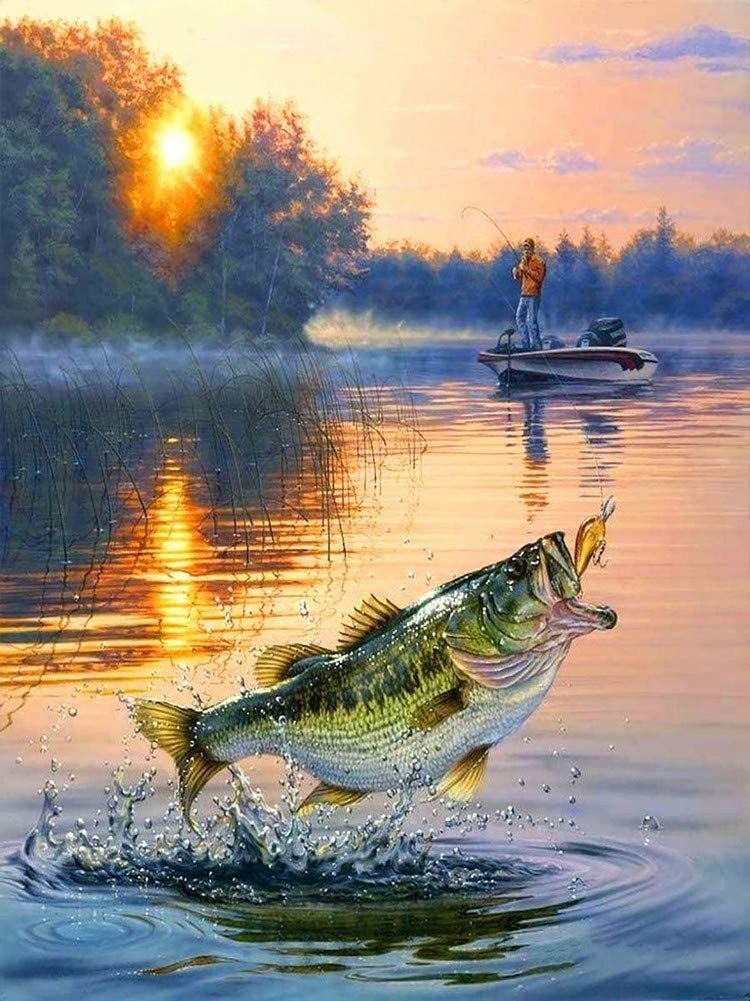 鱼塘小船上钓鱼跃出水面钻石画-阿里巴巴