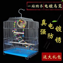 包邮虎皮鹦鹉鸟笼大号不锈钢电镀笼子八哥玄凤牡丹鹦鹉笼鸽子笼