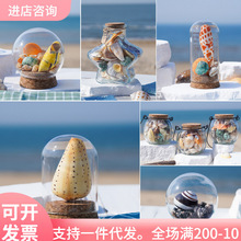 海螺贝壳漂流瓶海洋摆件海星许愿瓶木塞蜗牛壳标本螺