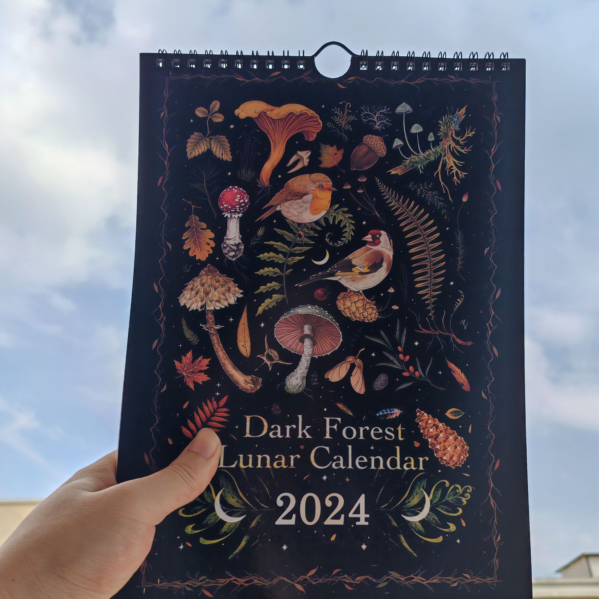 dark forest lunar calendar2024年黑暗森林日历黑暗日历2024日历