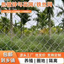 镀锌铁丝网围栏防护网勾花网钢丝网养殖羊牛猪栏网果园栅栏护栏网