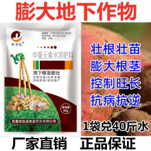 一撒宝来根茎膨大素30g克地下地瓜花生山药牛蒡葱姜蒜药材叶面肥