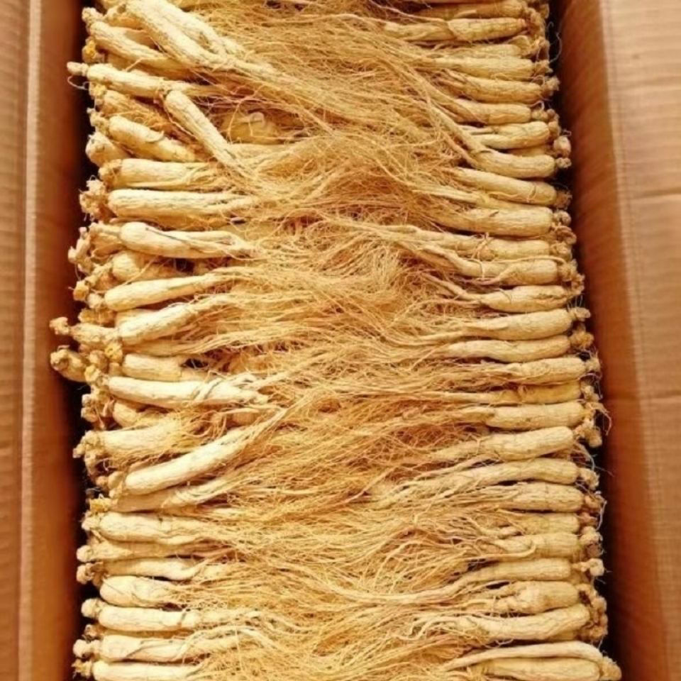 干人参长白山野生人生人参野山参生晒参东北白参泡酒药材煲汤材料
