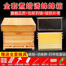 蜂箱全套蜜蜂箱带框巢础中蜂蜂箱煮蜡杉木养蜂工具成品蜂巢框平箱