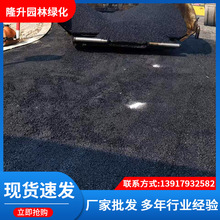 沥青路面彩色透水地坪彩色混凝土增强剂压模地坪胶粘石露骨料地面