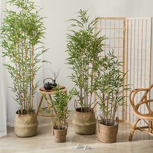 琉璃兰仿真竹子植物落地盆栽摆件大型室内客厅装饰新中式假绿植