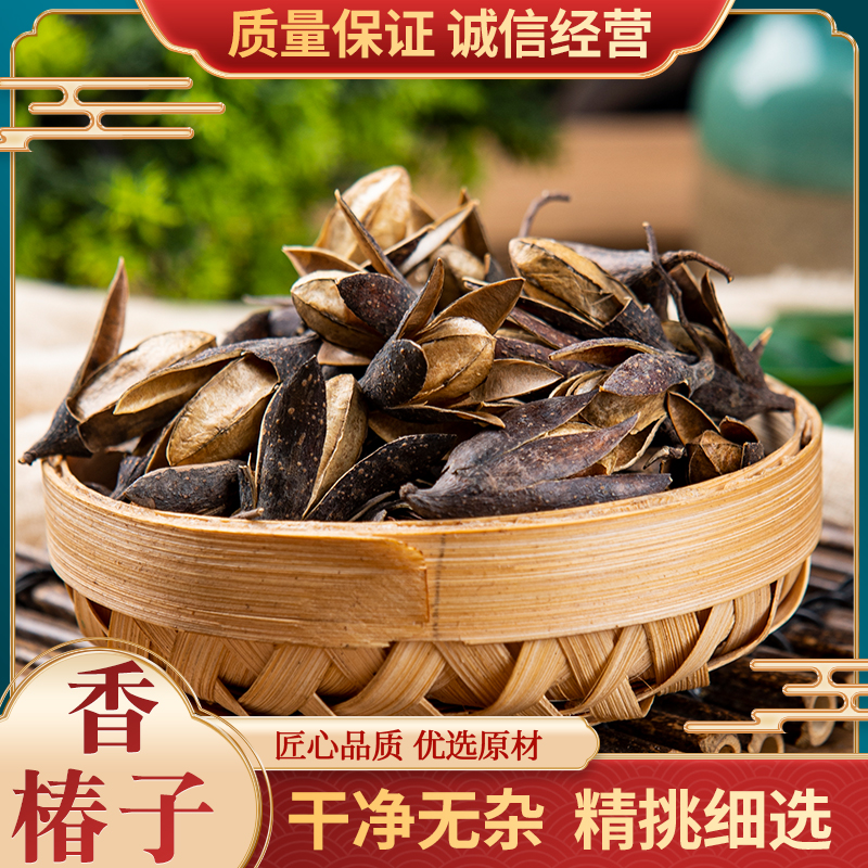 香椿铃材500g克旗舰店野生香椿果实籽香铃菱子香椿树种子量大优惠
