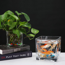 简约加厚玻璃透明正方形缸桌面摆件水培花器水养植物花盆大号花瓶