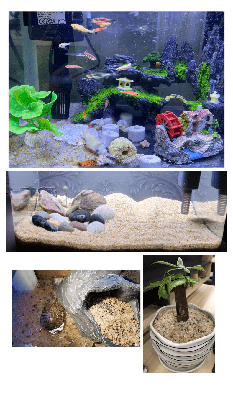 海沙天然鱼缸底砂水晶沙河沙水族箱造景装饰沙多肉铺面乌龟冬眠沙