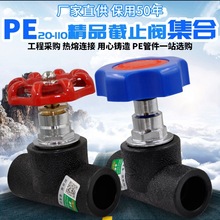 PE升降截止阀 20 4分 25 PE阀门 HDPE给水管材配件 承插式PE管件