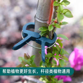 西瓜嫁接夹子-西瓜嫁接夹子批发,促销价格,产地货源 - 阿里巴巴