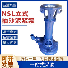 NSL立式抽沙泥浆泵 旋流器液下可加长排污泵380V增压泵加工定制