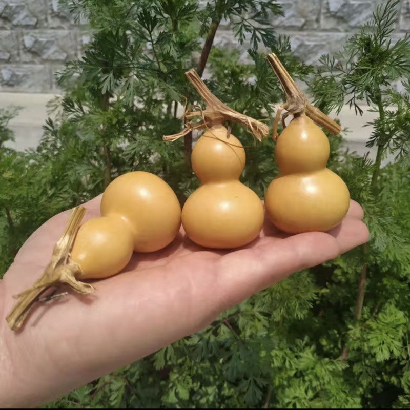 天然手捻小葫芦霸王精品小美国葫芦挂件草里金带龙头小葫芦-阿里巴巴