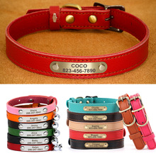 Custom Leather Cat Dog Collar Bling Personalized Name ID