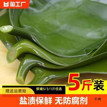 盐渍海带头5斤新鲜荣成海白菜级海带片丝根火锅半干货3/1斤凉拌