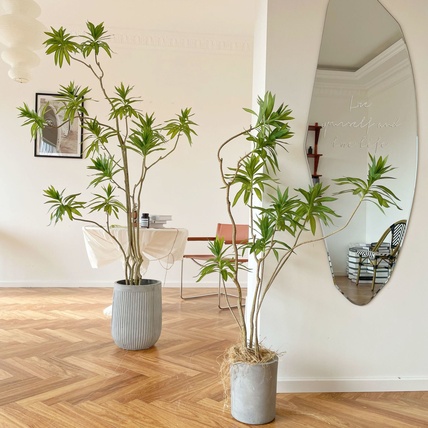 北欧ins绿植百合竹大型落地室内客厅摆件橱窗装饰盆栽假植物