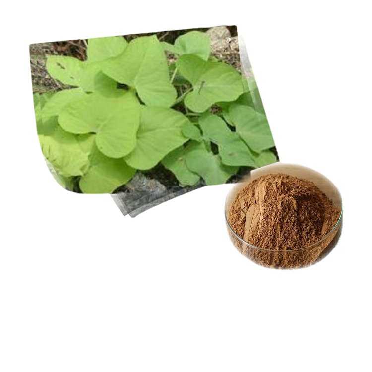 桉叶提取物 桉树粉 蓝桉叶粉 按叶油一公斤起定