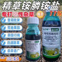 11%精草铵膦铵盐果园荒地空地杂草除草杂草农药除草剂利尔作物荒