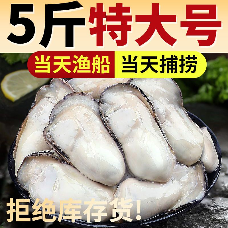 鲜活乳山生蚝牡蛎新鲜包活特大肉海蛎子10斤海鲜水产包邮