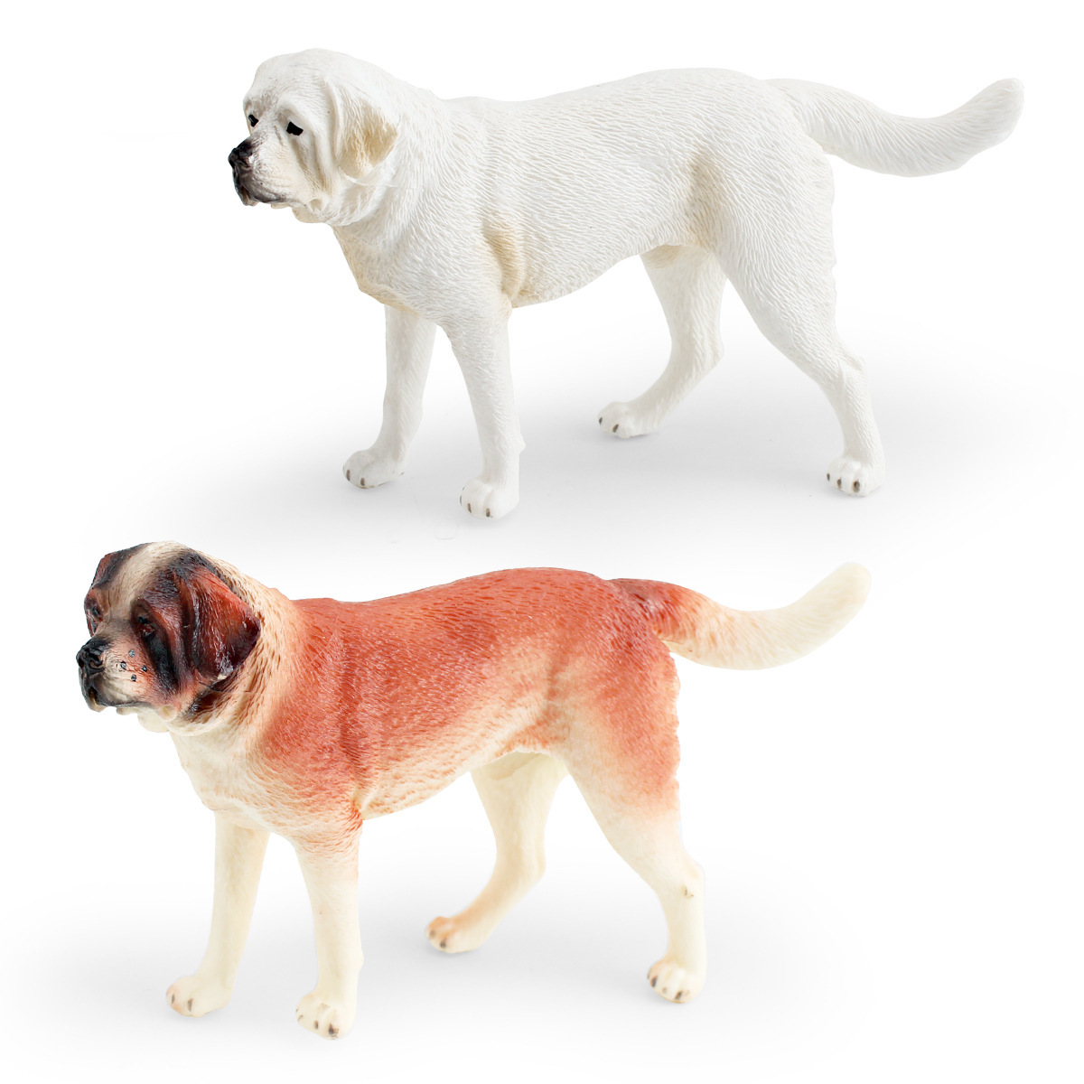 跨境儿童认知仿真宠物狗狗圣伯纳犬阿尔卑斯山獒模型桌面装饰摆件