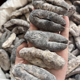 黑猪婆参批发 海参 深海淡干海参 海味干货 送礼补品全国一件代发