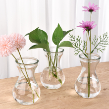 风信子水培瓶创意简约玻璃器皿绿萝水仙花植物花盆摆件客厅插咖佑