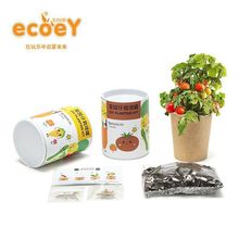 Ecoey儿童种植小盆栽迷你室内桌面绿植物种子盲盒菜园仔diy女玩具