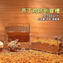 芦丁鸡食盒自动喂食器宠物用品小鸡饲养大容量双层平台网格架防刨