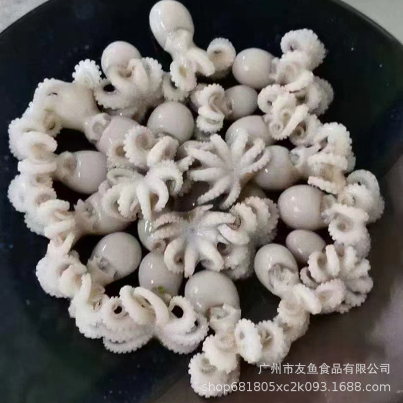 冷冻大爆头去脏盐磨生冻迷你小章鱼单冻小八爪鱼三去八爪鱼5kg/箱