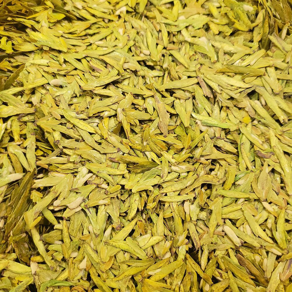 2023年新茶叶明前黄版小嫩芽龙井茶43号头采春茶手工炒豆香型