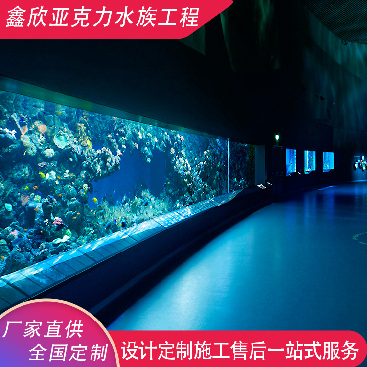海洋馆大型亚克力鱼缸设计定作海洋主题公园生态创意观赏鱼缸建造