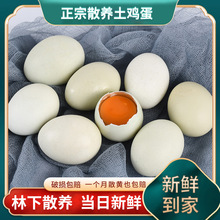 枞乡情绿壳山鸡蛋 新鲜初生乌鸡蛋 小枞农家散养50枚装柴鸡蛋