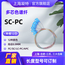 束状尾纤 单模多模12芯 SC FC  LC 集成12芯色谱尾纤 熔配盘纤用