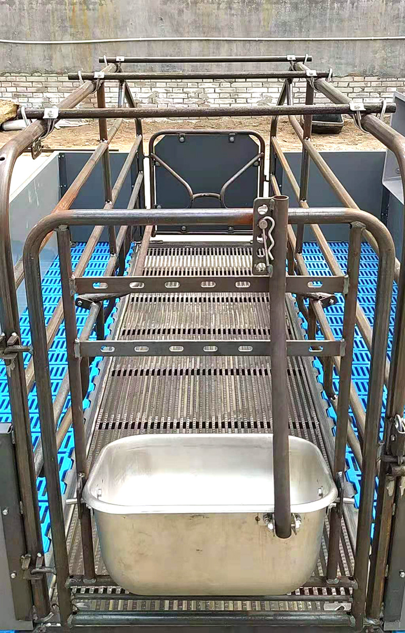 欧式母猪产床 新型复合母猪产床 双体母猪产床 产床保育一体