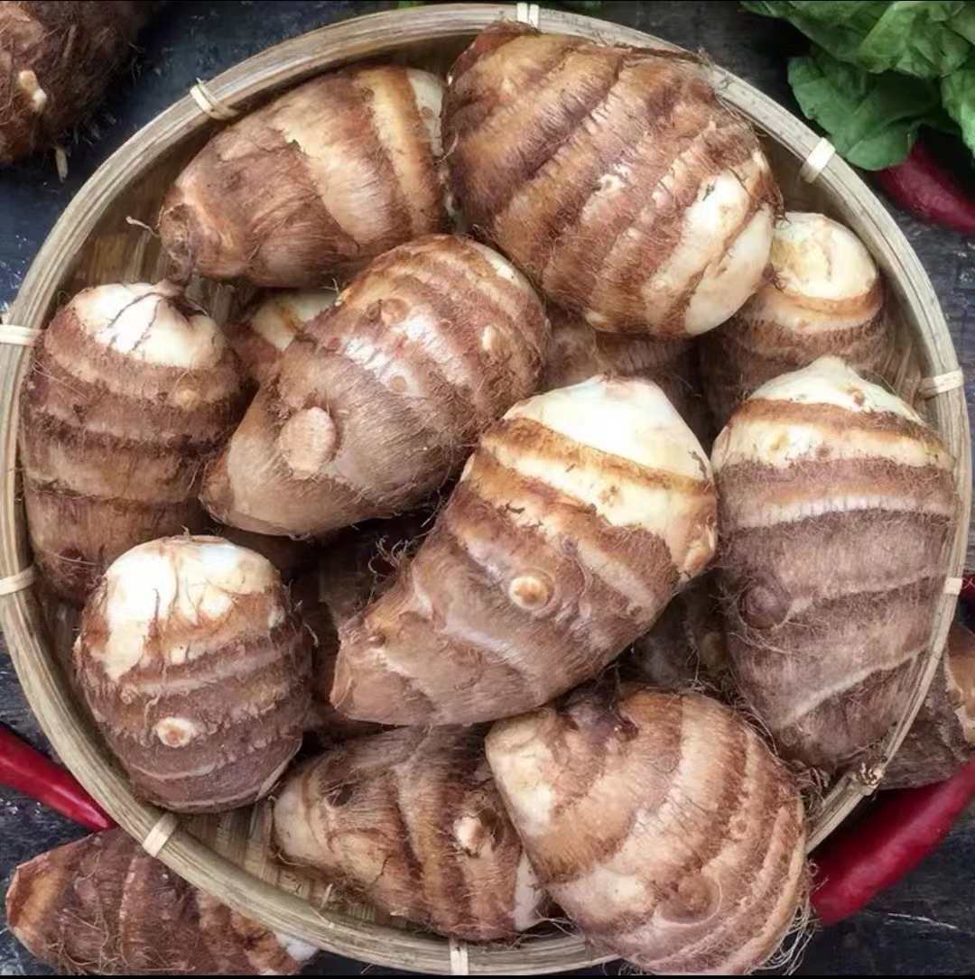 山东农家毛芋头新鲜芋艿 5斤今年新货 坏果包赔-阿里巴巴