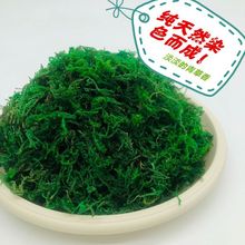 花盆假草铺面干青苔天然染色青苔铺面青苔真青苔小草铺面盆栽装饰