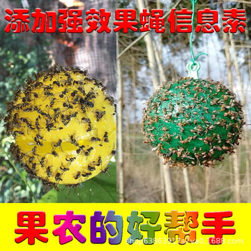 超强诱蝇球柑橘粘虫球诱虫球诱杀大果实蝇瓜实蝇果树果园用品批发