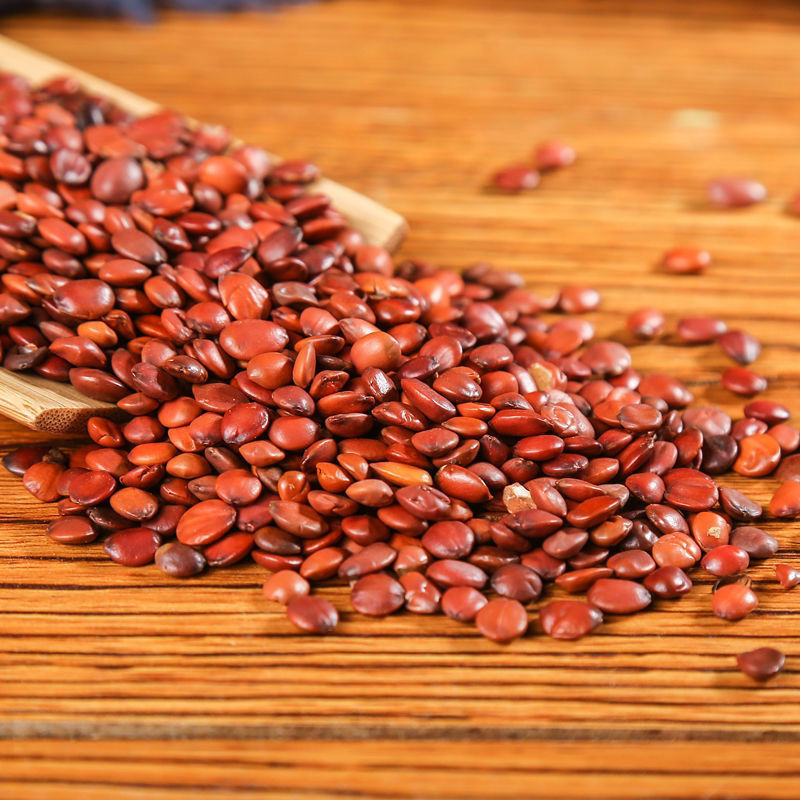 酸枣仁 炒酸枣仁 熟酸枣仁粉 中药材 酸枣仁