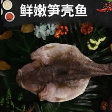 笋壳鱼新鲜虎头鱼呆子塘鳢鱼冰鲜带调味可煎蒸蒜瓣肉真空一件代发