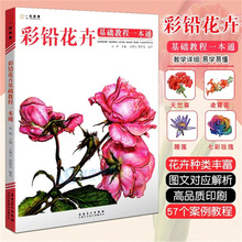 彩铅花卉：基础教程一本通 一线美誉彩铅绘画初学技法安徽美术