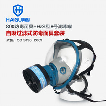 海固HG-800防毒面具全面罩+P-H2S-2滤毒罐硫化氢